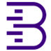Brandmetrics logo