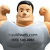 Liquid Web logo