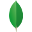 MongoDB logo