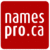 Namespro logo