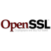OpenSSL logo