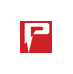 Power DNN DNS logo