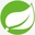 Spring logo
