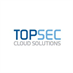 TOPSEC logo