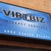 VIRTBIZ logo