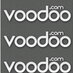 Voodoo DNS Parking logo