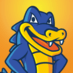 WebsiteWelcome DNS logo