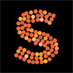 saambaa Direct logo